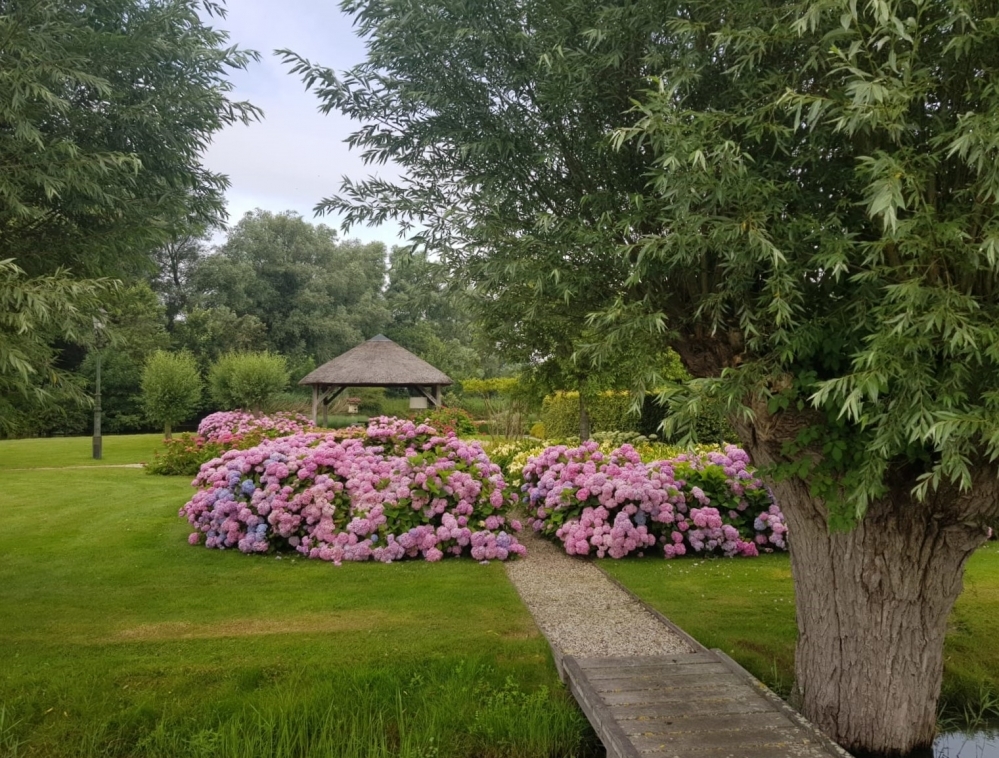 Klassieke tuin in Montfoort 4 - van Dam Groenvoorzieningen