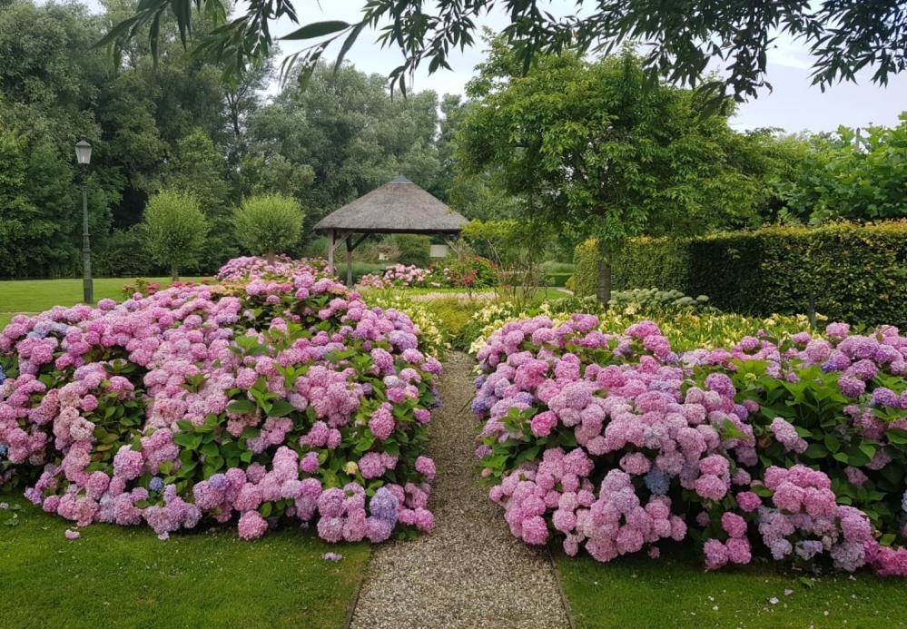 Klassieke tuin in Montfoort 5 - van Dam Groenvoorzieningen