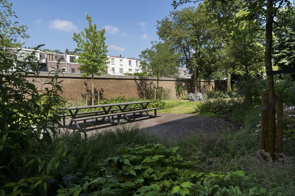 Gezamenlijke achtertuin in Utrecht 1 - van Dam Groenvoorzieningen