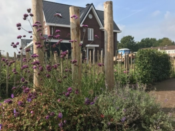 van-Dam-Hoveniers-tuinaanleg-Driebergen-bloementuin-met-grasveld-terras-houten-prieel-en-houten-elementen