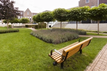 van-Dam-Hoveniers-tuinaanleg-binnentuin-Woerden-met-gras-lavendel-bankje-en-bomen-geplant